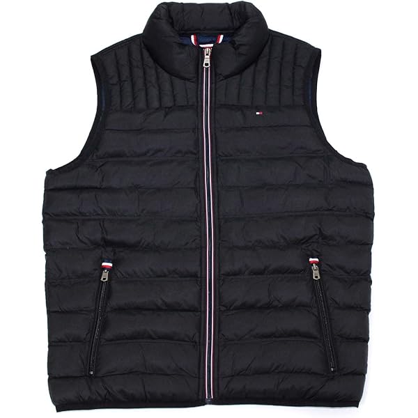 Amazon.co.jp: Polo Ralph Lauren メンズ ダウンポニー フルジップ